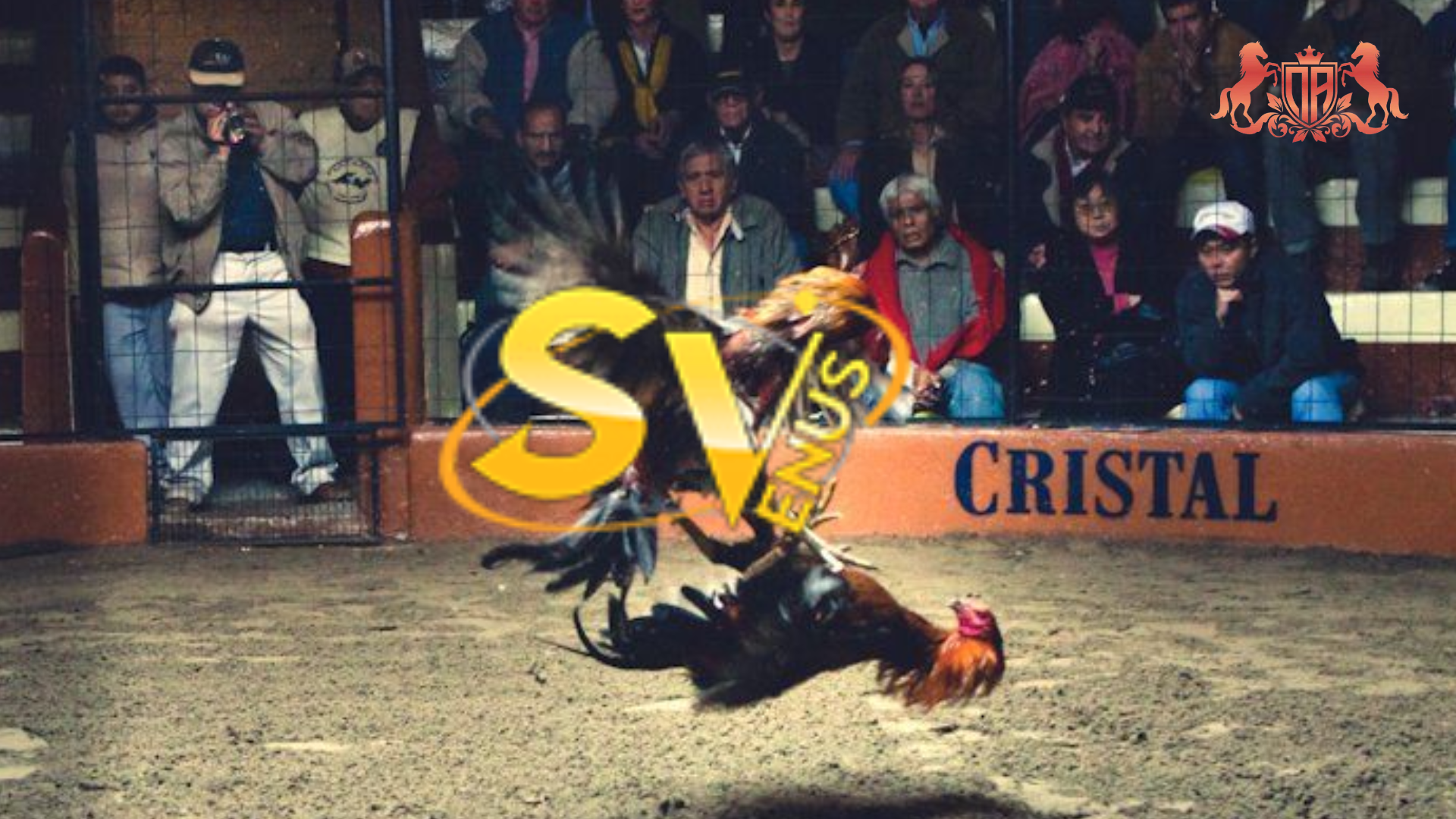 sv388