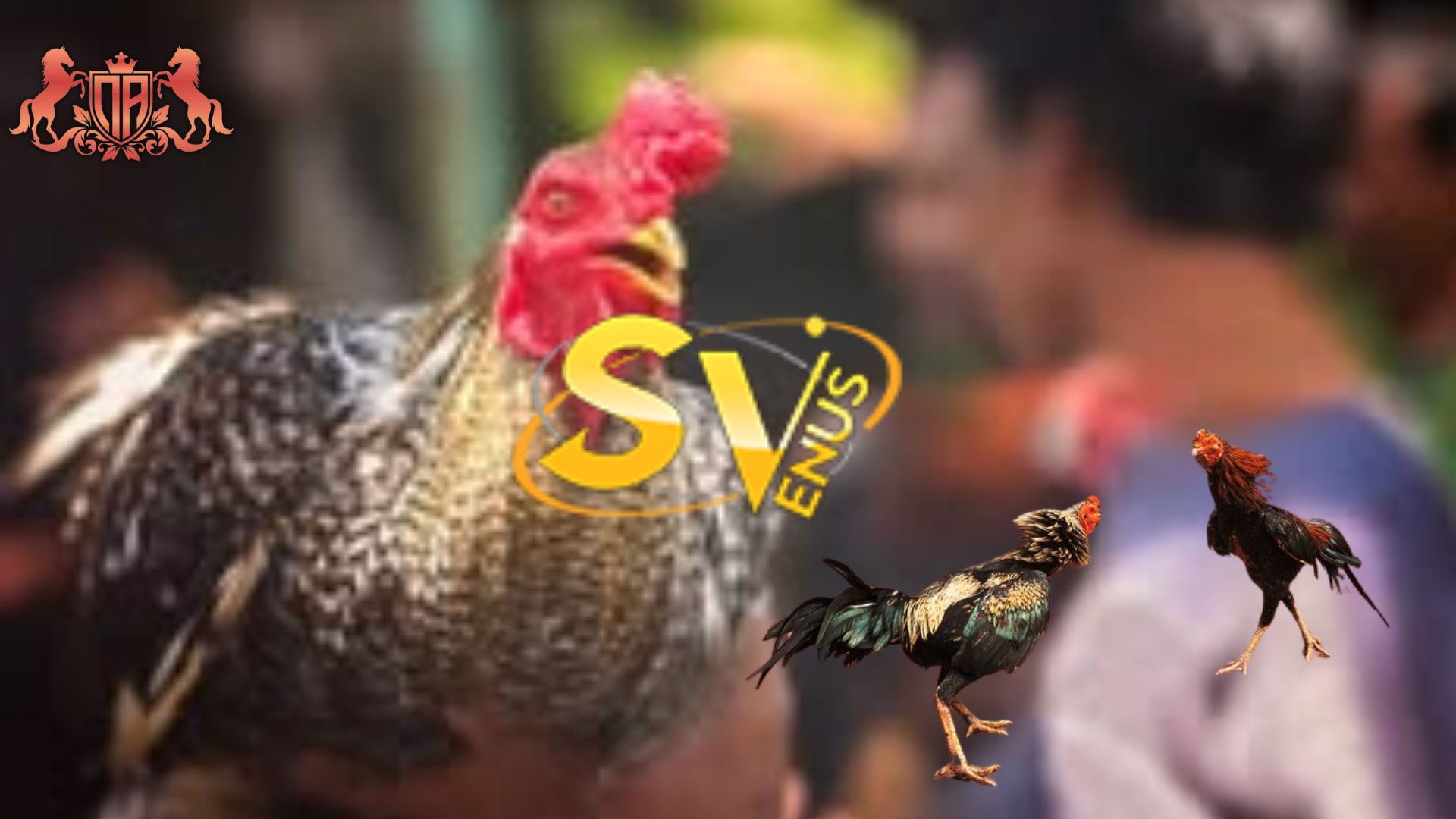 sv388